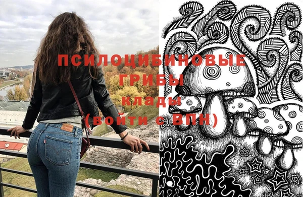 ПСИЛОЦИБИНОВЫЕ ГРИБЫ Навашино
