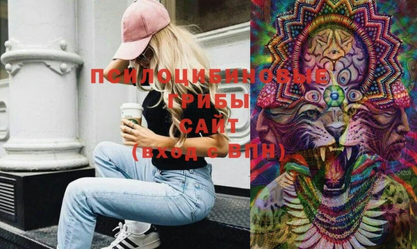 дурь Надым