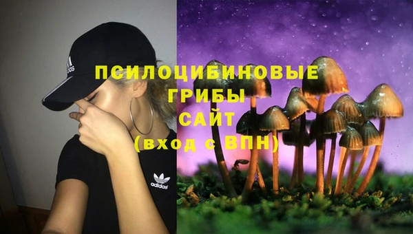 дурь Надым