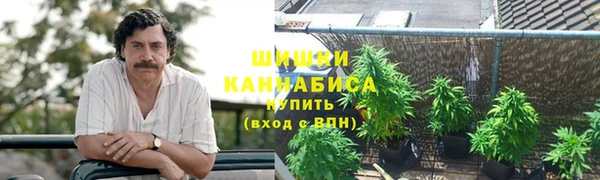 дурь Надым