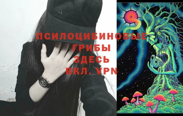 дурь Надым