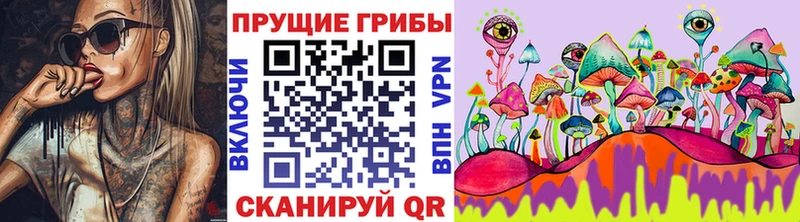 Псилоцибиновые грибы Psilocybe где купить наркоту Ялуторовск